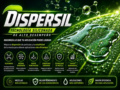 Dispersil