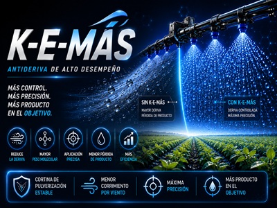 K-E-MAS